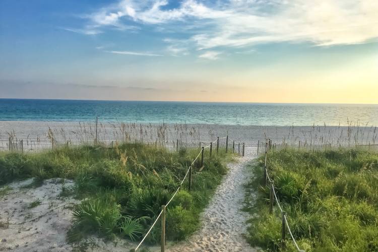 view of the ocean from a dune pathway on the beach