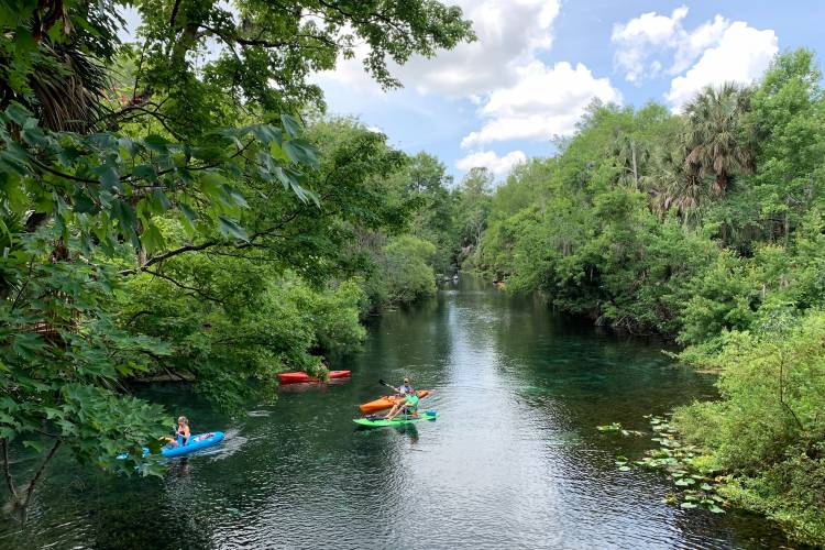 A group of people paddle up a canal on kayaks and sup boards in florida