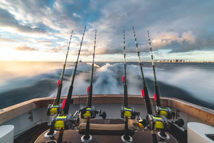 Fishing rods and reels by the back of a boat on the water