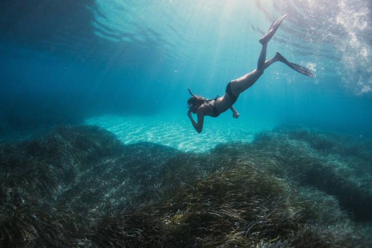 A woman snorkeling near the shore